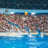 泉城欧乐堡海洋极地世界