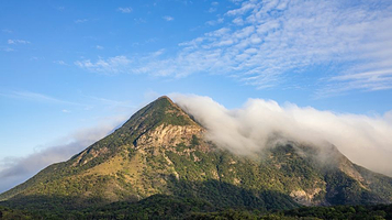 大屿山郊野公园