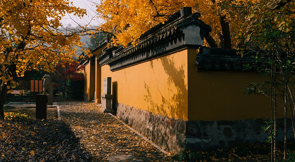紫金庵