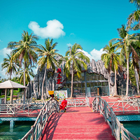 南湾猴岛生态旅游区