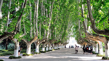 扬州大学(荷花池校区)