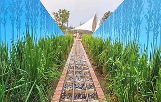 松鼠咔咔探索乐园