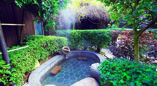 紫龙湾泉水乐园