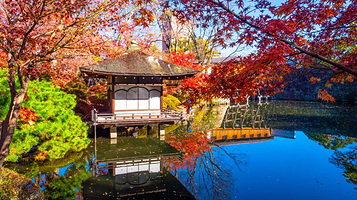 和歌山城 红叶溪庭园