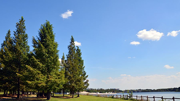 鹅湖玫瑰文化园