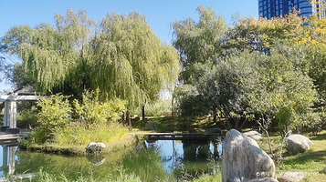 郑东新区湿地公园