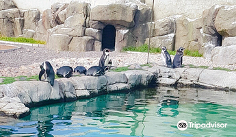 波塔费里水族馆