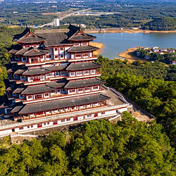 儋阳楼森林公园