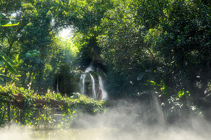 厦门园林植物园