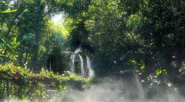 厦门园林植物园