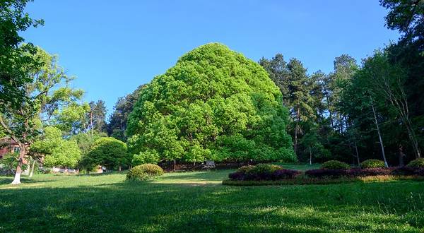 贵阳森林公园