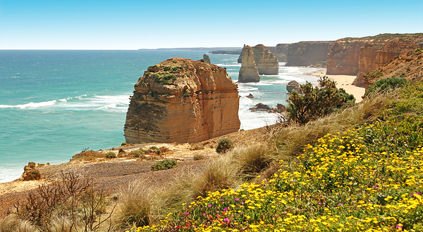坎贝尔港国家公园