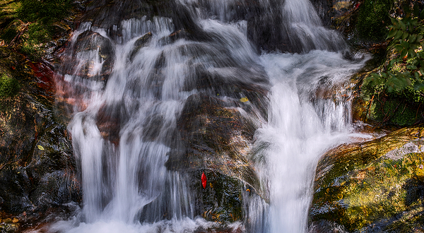 千岛湖森林氧吧