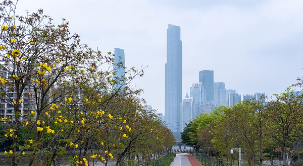 磨碟沙公园