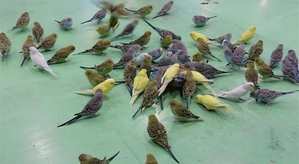 磐石海立方海洋公园