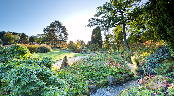 RHS Garden Harlow Carr