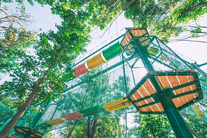 南京森林大世界亲子主题乐园