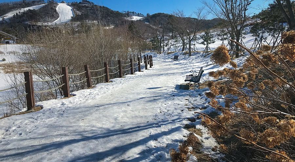 韩国阿尔卑斯滑雪场