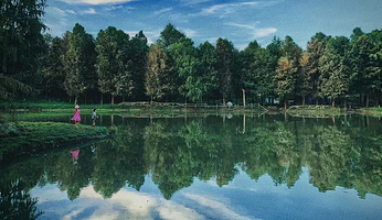 橙蓝国际森林营地