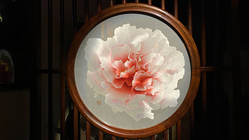 夜游拙政园《拙政问雅》