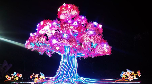 东湖奇妙夜