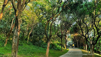 燕晗山郊野公园