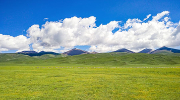 祁连山草原