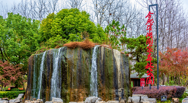 合肥滨湖国家森林公园