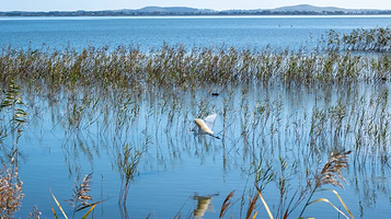 Lake Colac