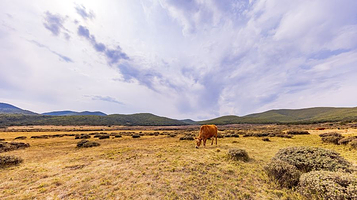 谷克德（七里坝）国家湿地公园