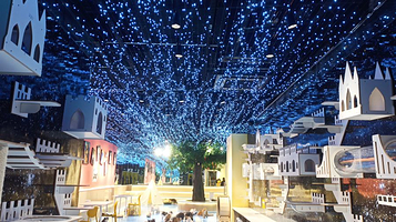 猫咪博物馆(万达广场株洲云龙店)