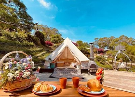 Green Fantasy Forest