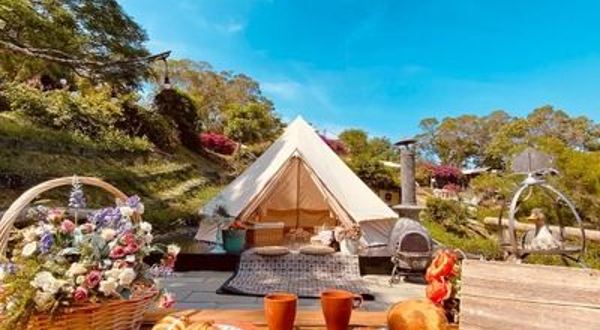 Green Fantasy Forest