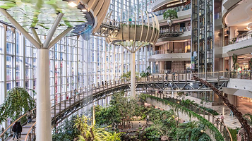 重庆光环购物公园室内植物园“沐光森林”