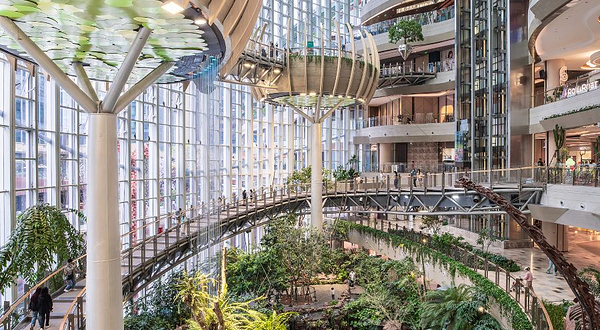 重庆光环购物公园室内植物园“沐光森林”
