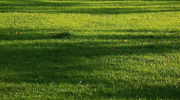 云花溪谷自然风景区