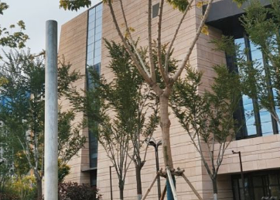 西宁市市民中心冰球馆·冰壶馆