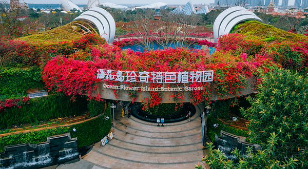 海花岛珍奇特色植物园