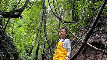 云南泰和谷雨林徒步
