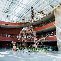 河源恐龙博物馆
