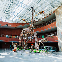 河源恐龙博物馆