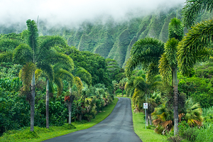 火玛卢霞植物园