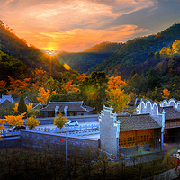 安陆钱冲古银杏生态旅游区