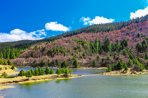 普达措国家公园