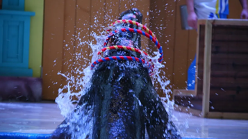 汶上一中海狮表演馆