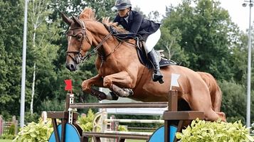 莱耀马术俱乐部