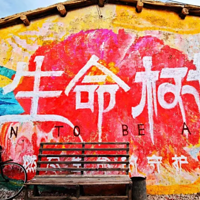 生命树取景点(柯鲁柯镇)