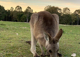 Coombabah Lakes Conservation Area