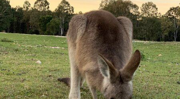 Coombabah Lakes Conservation Area