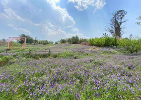 草多多森林牧场